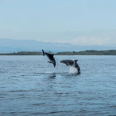 La Via Dei Mulini * Corigliano Calabro