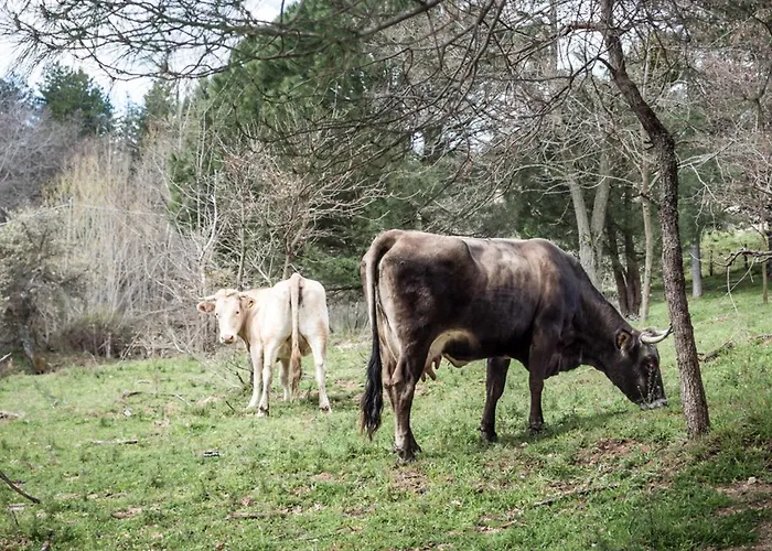 La Via Dei Mulini Bed & Breakfast