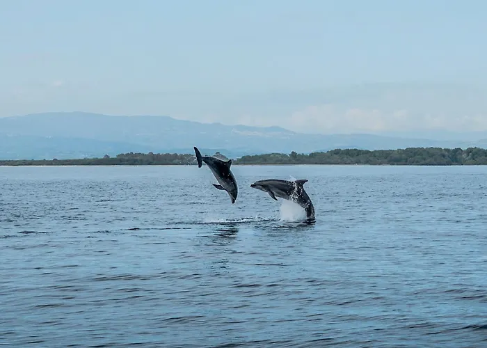 La Via Dei Mulini * Corigliano Calabro